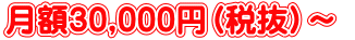 月額30,000円(税抜)~